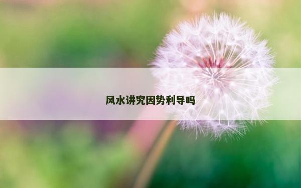 風水講究因勢利導嗎