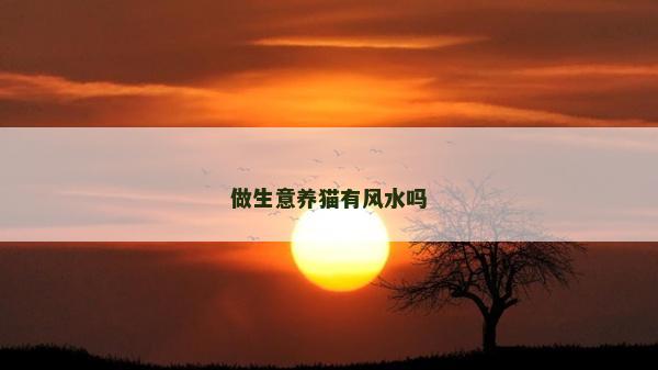 做生意養(yǎng)貓有風(fēng)水嗎