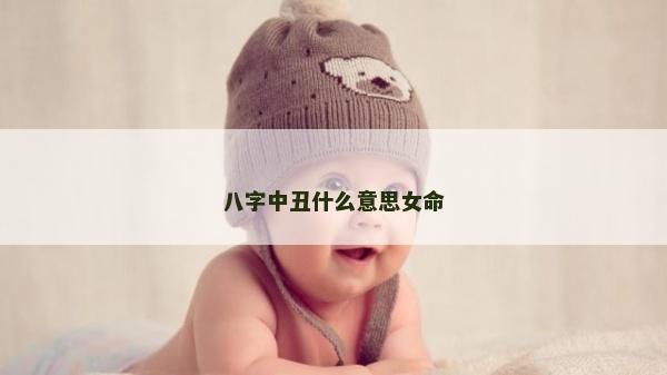 八字中丑什么意思女命