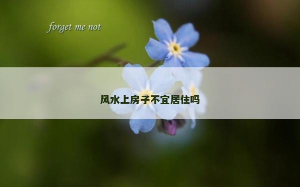 風水上房子不宜居住嗎