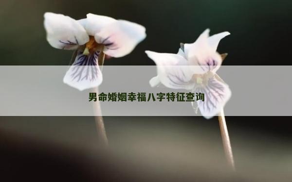 男命婚姻幸福八字特征查詢