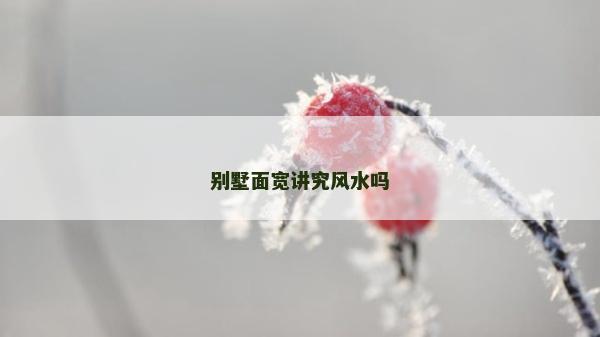 別墅面寬講究風水嗎 別墅面寬講究風水嗎