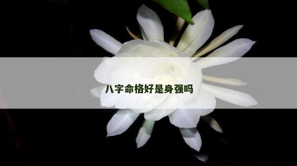 八字命格好是身強嗎