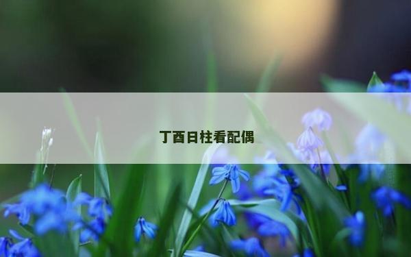 丁酉日柱看配偶 丁酉日柱看配偶