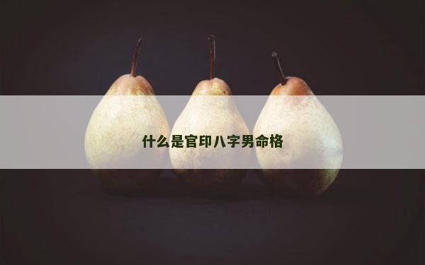 什么是官印八字男命格