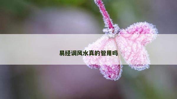 易經調風水真的管用嗎