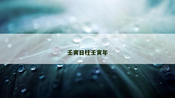 壬寅日柱壬寅年