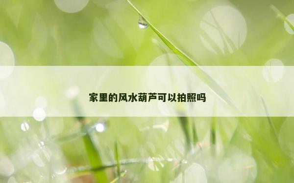 家里的風(fēng)水葫蘆可以拍照嗎