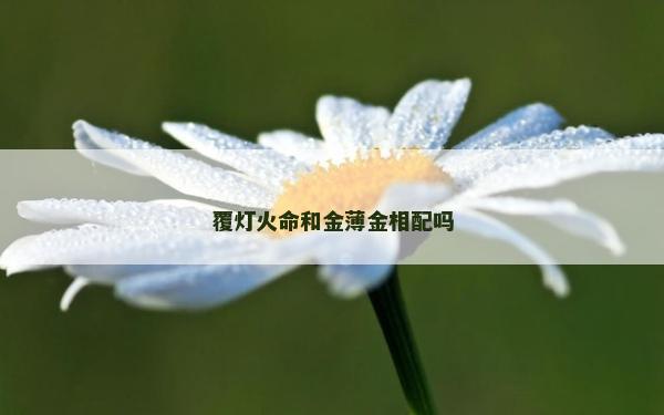 覆燈火命和金薄金相配嗎