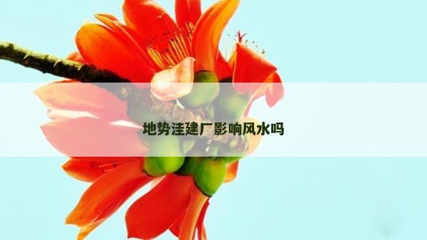 地勢洼建廠影響風水嗎
