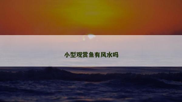 小型觀賞魚有風水嗎