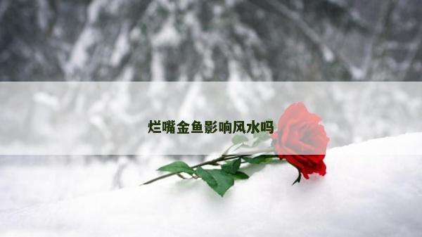 爛嘴金魚影響風水嗎