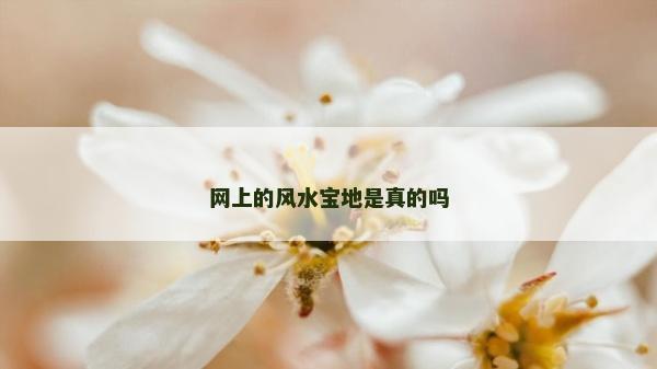 網上的風水寶地是真的嗎