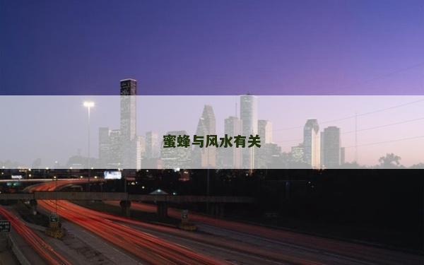 蜜蜂與風水有關