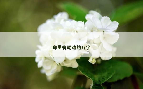 命里有劫難的八字