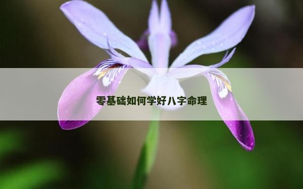 零基礎(chǔ)如何學(xué)好八字命理