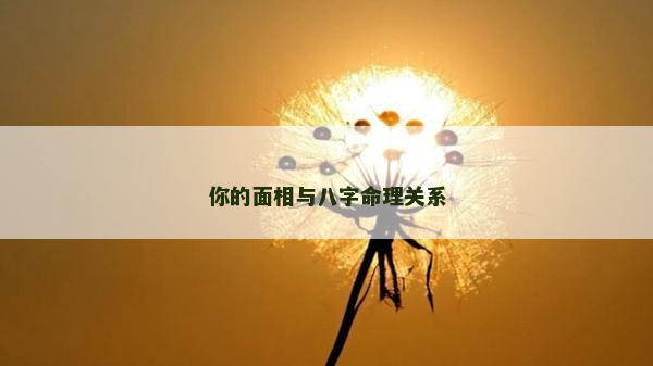 你的面相與八字命理關(guān)系