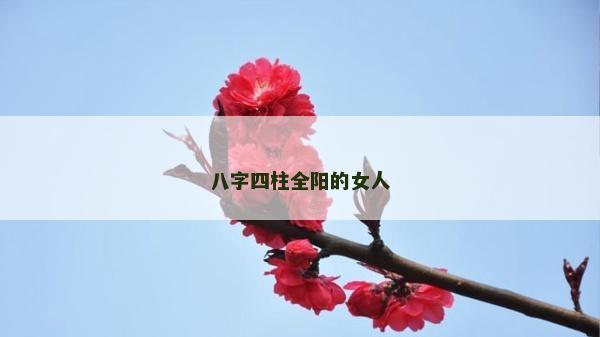 八字四柱全陽的女人