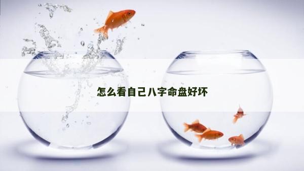 怎么看自己八字命盤好壞