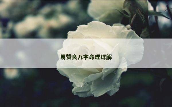 易贊良八字命理詳解 易贊良八字命理詳解