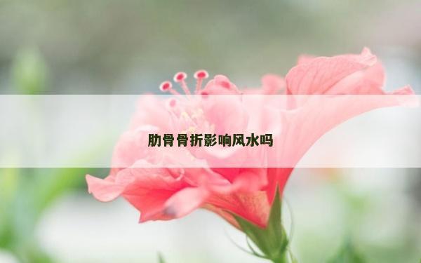 肋骨骨折影響風(fēng)水嗎