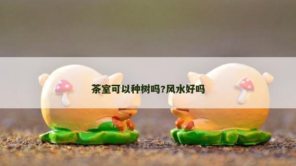 茶室可以種樹嗎?風水好嗎
