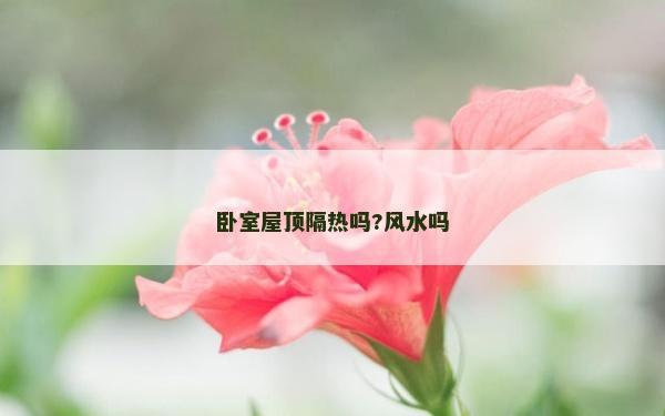 臥室屋頂隔熱嗎?風(fēng)水嗎