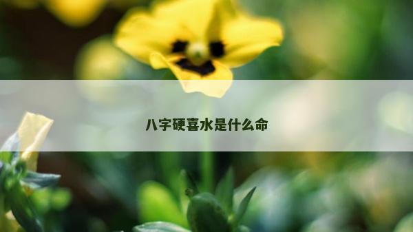 八字硬喜水是什么命