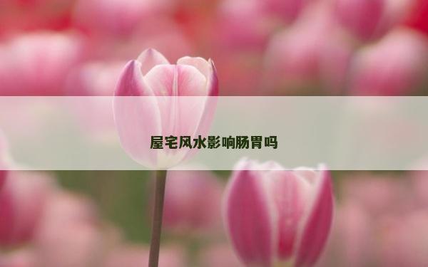 屋宅風水影響腸胃嗎