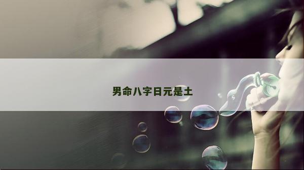 男命八字日元是土