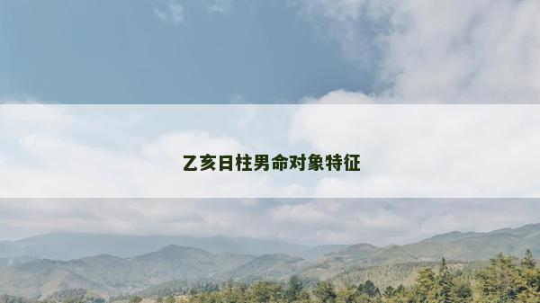 乙亥日柱男命對象特征