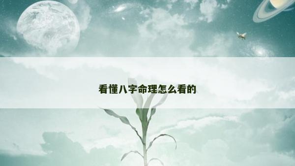 看懂八字命理怎么看的