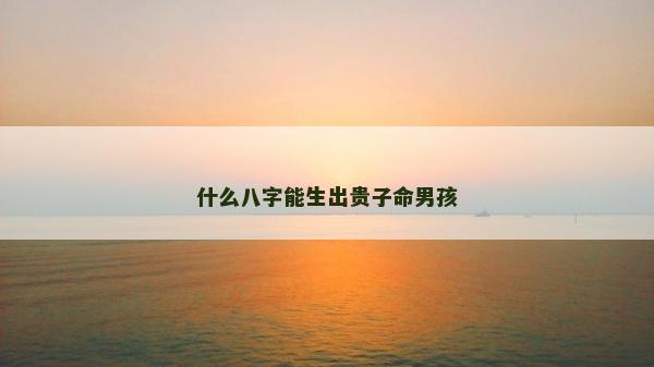 什么八字能生出貴子命男孩