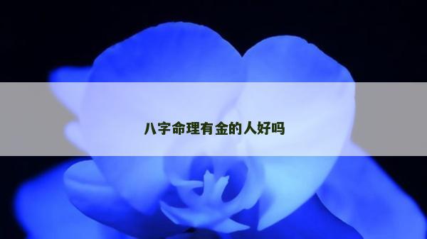 八字命理有金的人好嗎