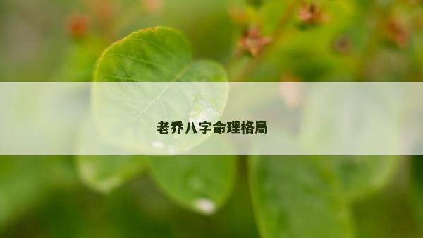 老喬八字命理格局