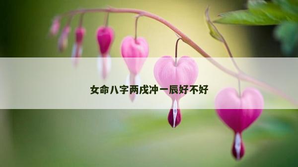 女命八字兩戌沖一辰好不好