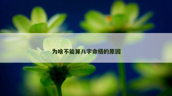 為啥不能算八字命格的原因