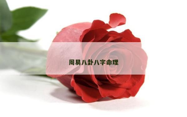 周易八卦八字命理