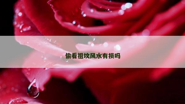 偷看祖墳風(fēng)水有損嗎