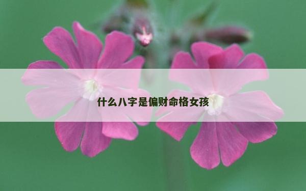 什么八字是偏財命格女孩