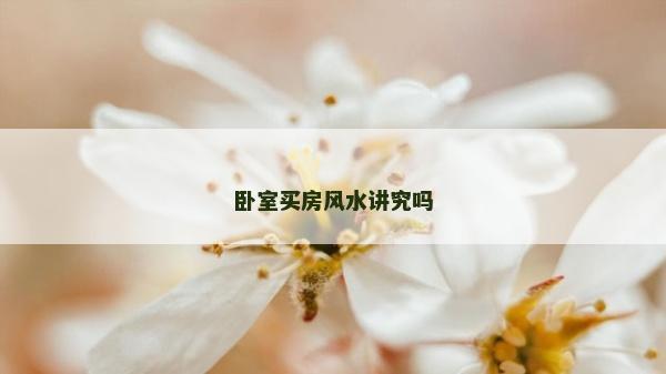臥室買房風(fēng)水講究嗎
