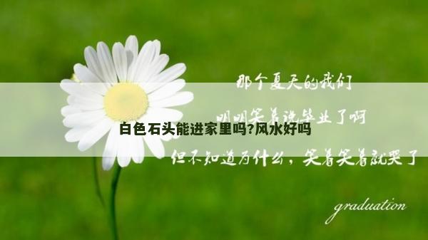 白色石頭能進家里嗎?風水好嗎