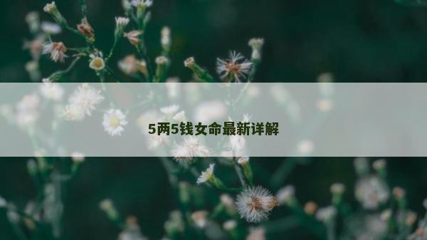5兩5錢女命最新詳解