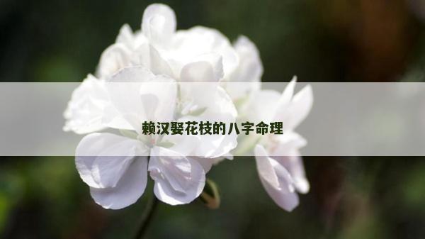賴漢娶花枝的八字命理