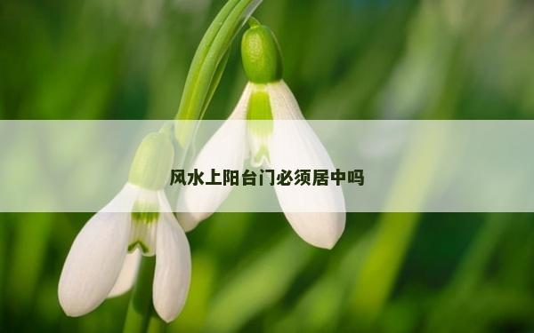 風(fēng)水上陽(yáng)臺(tái)門必須居中嗎