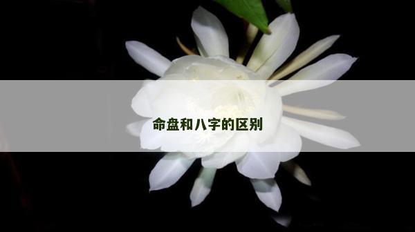 命盤和八字的區(qū)別