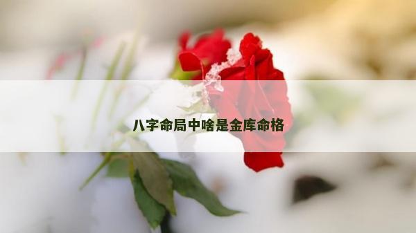 八字命局中啥是金庫命格