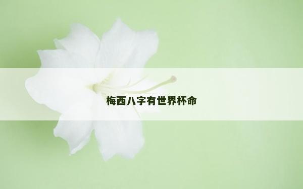 梅西八字有世界杯命