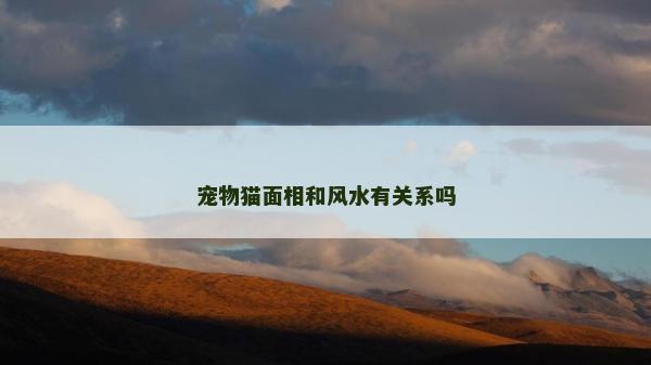 寵物貓面相和風(fēng)水有關(guān)系嗎