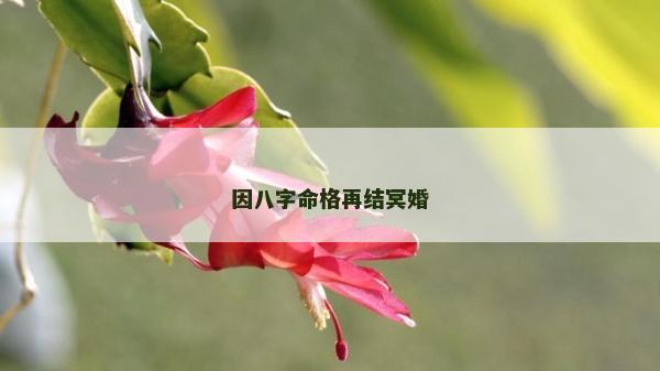 因八字命格再結冥婚